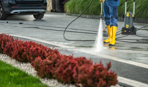 Best Fence Cleaning  in Prospect Heights, IL