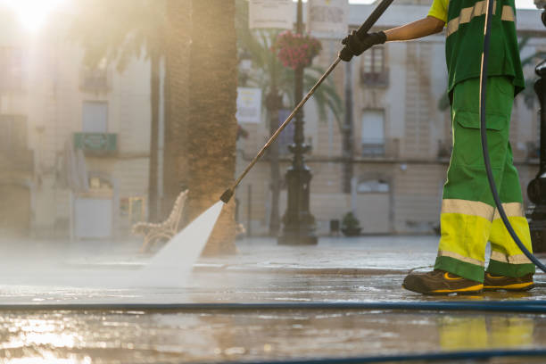 Best Spring Cleaning  in Prospect Heights, IL
